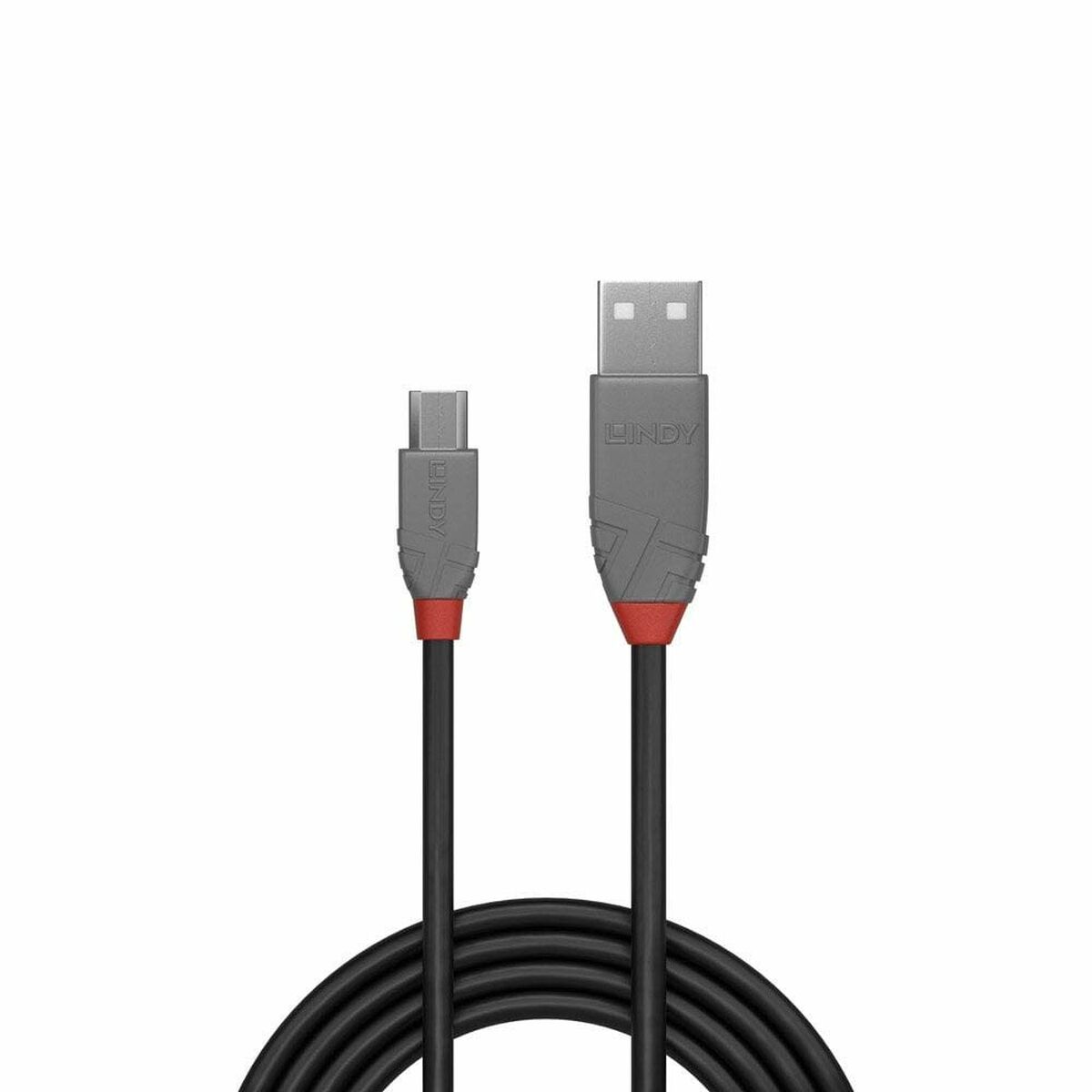 Cable USB LINDY Negro 2 m